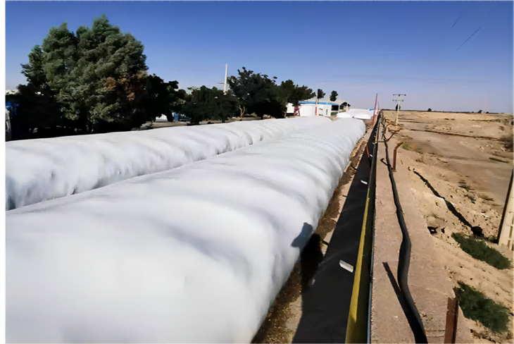 Silo Bag For Legumes